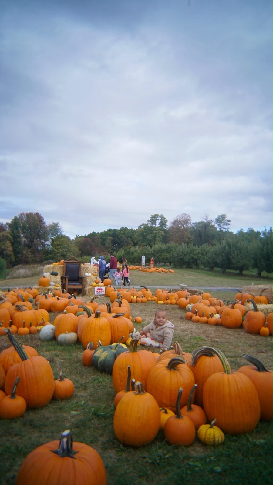 Families enjoying pumpkin season at Hurd's Family Farm